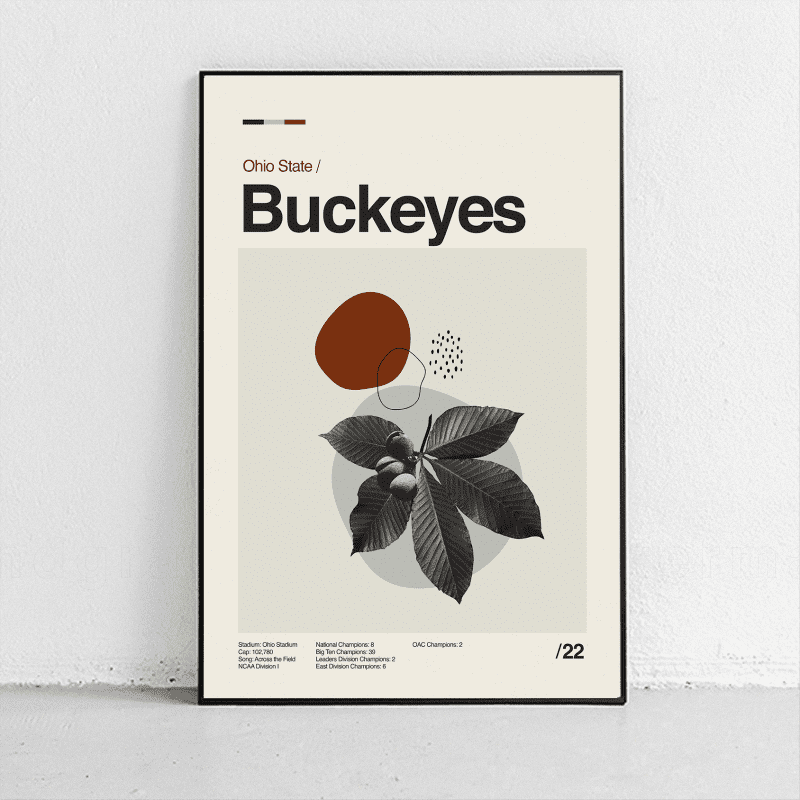 buckeyes mockup