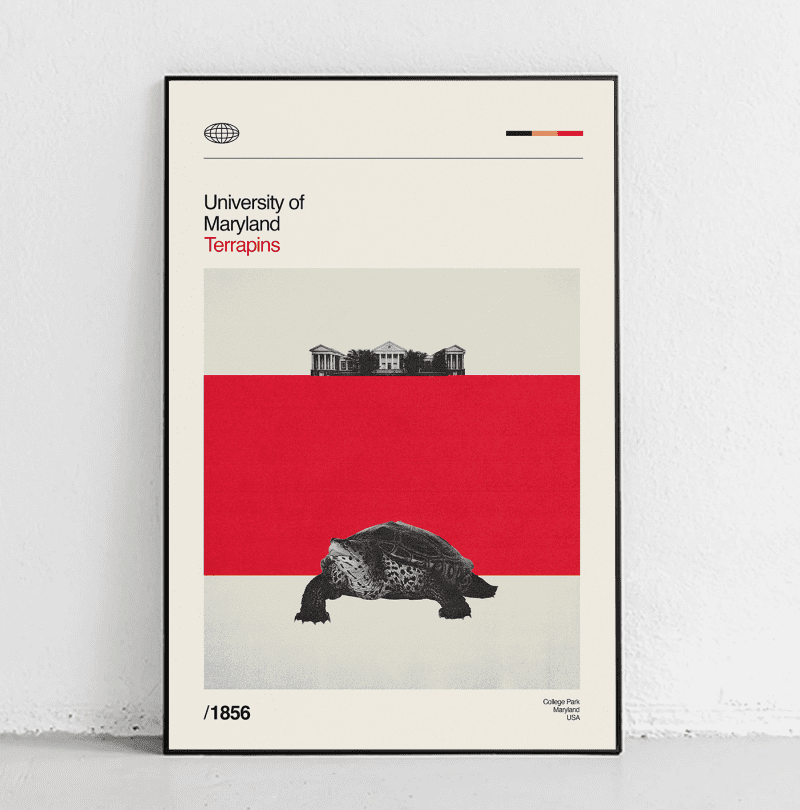 terrapins mockup